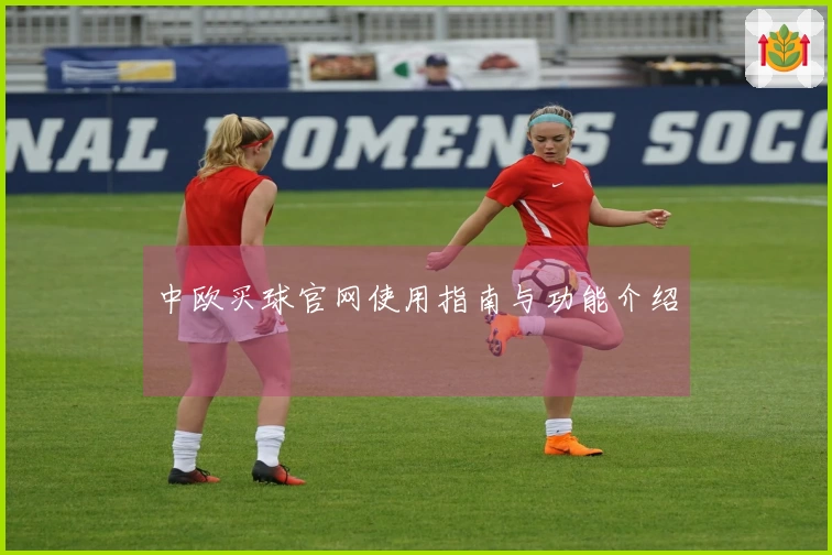 中欧买球官网使用指南与功能介绍