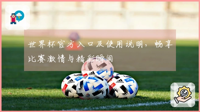 世界杯官方入口及使用说明，畅享比赛激情与精彩瞬间