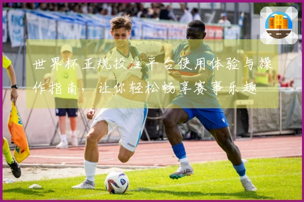 世界杯正规投注平台使用体验与操作指南，让你轻松畅享赛事乐趣