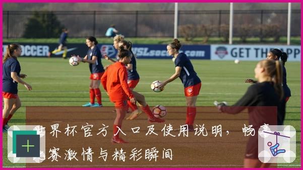 世界杯官方入口及使用说明，畅享比赛激情与精彩瞬间