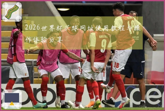 2026世界杯买球网址使用教程与操作体验分享