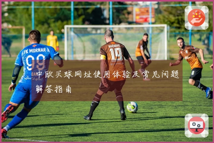 中欧买球网址使用体验及常见问题解答指南