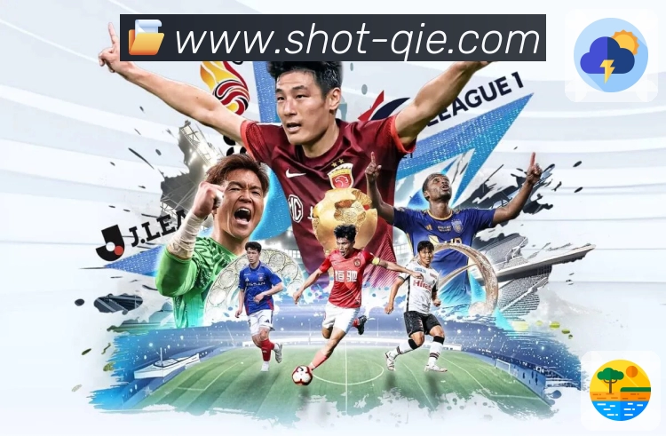 数据面板 数据面板 - 技术统计与球员表现